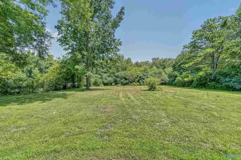 265 Flint River Drive New Market AL 35761