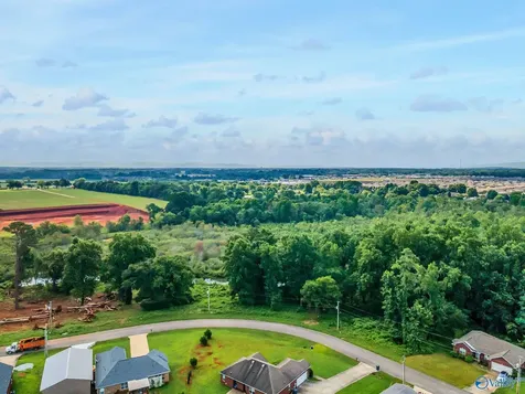 136 Easy Street Hazel Green AL 35750