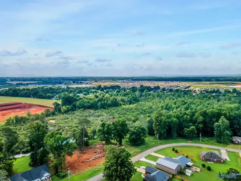 136 Easy Street Hazel Green AL 35750