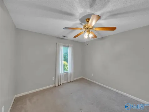 126 Mossy Spring Trail Madison AL 35757