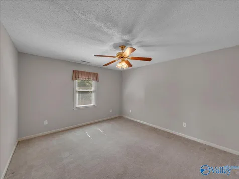 126 Mossy Spring Trail Madison AL 35757