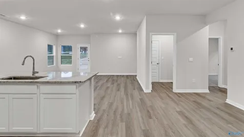 251 Cattail Court Guntersville AL 35976