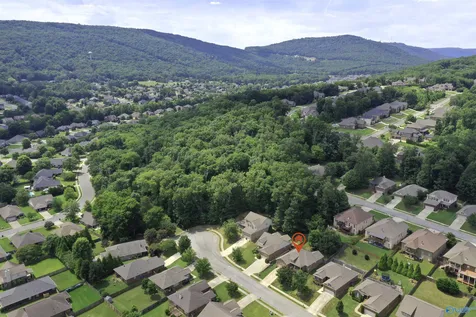 6805 Wintercrest Way Owens Cross Roads AL 35763