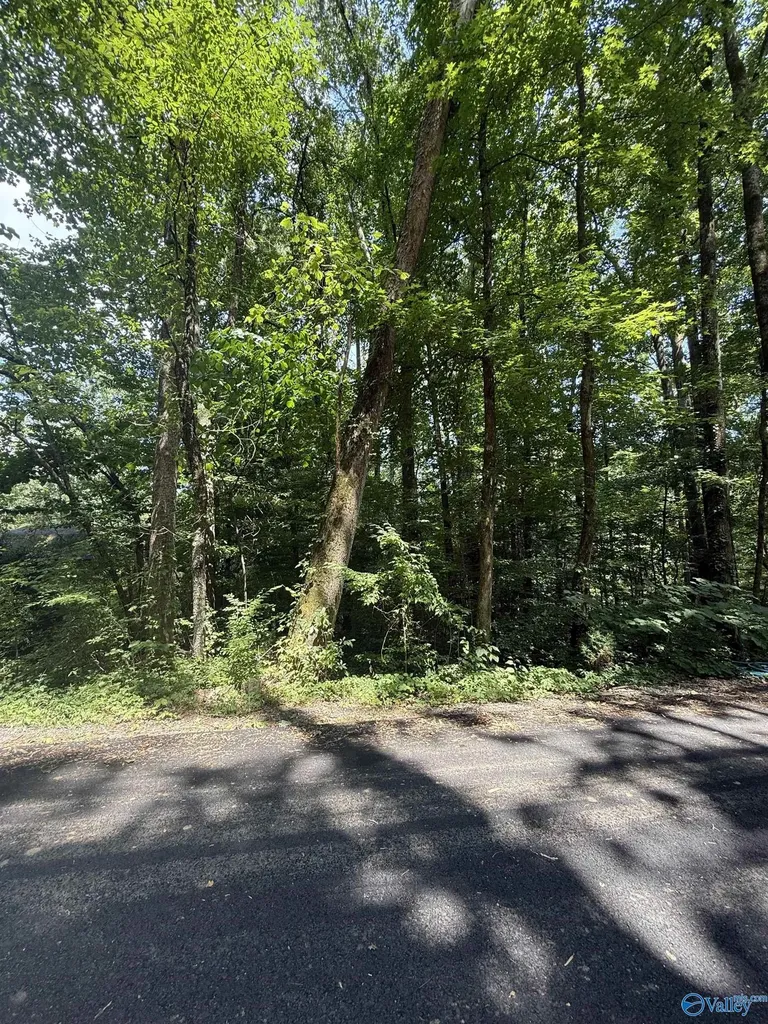Lot 3 Kristi Lane Grant AL 35747
