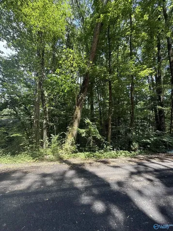 Lot 3 Kristi Lane Grant AL 35747