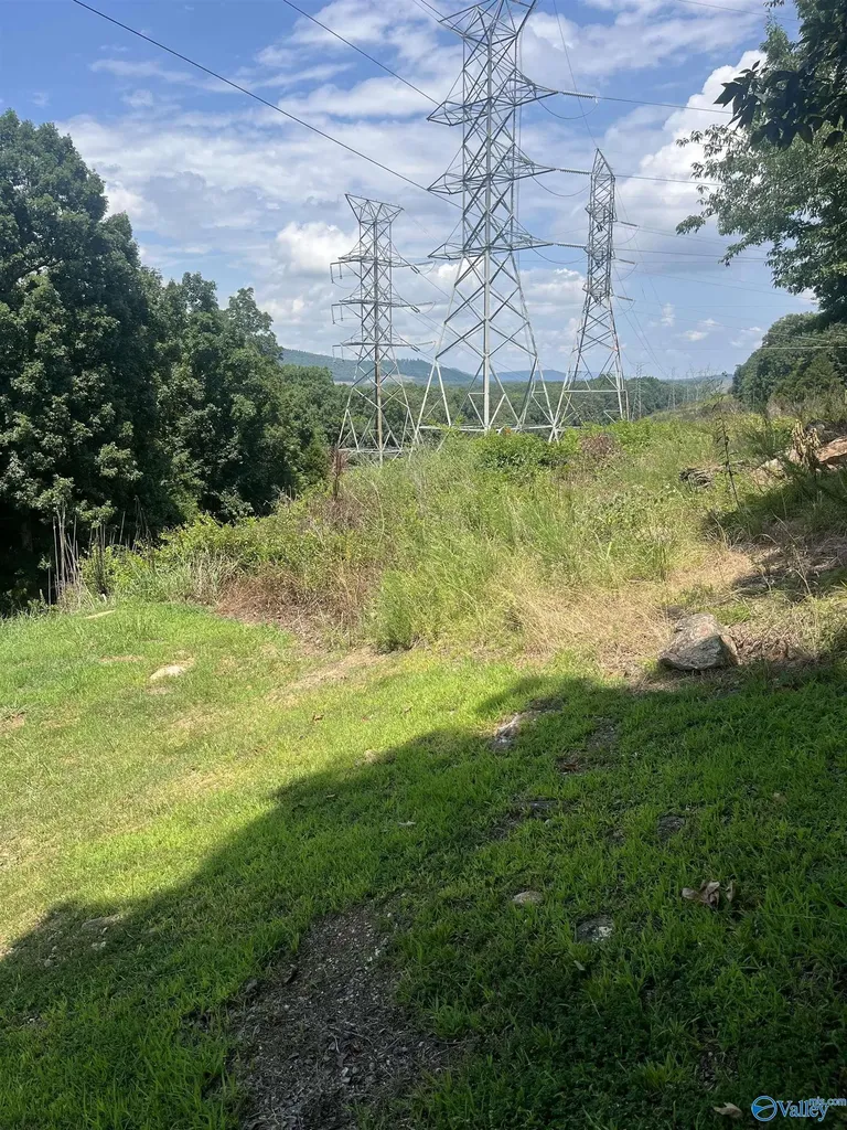 1.12 Acres Savory Drive Scottsboro AL 35769