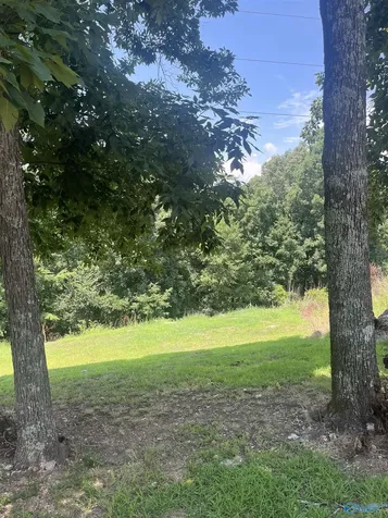 1.12 Acres Savory Drive Scottsboro AL 35769