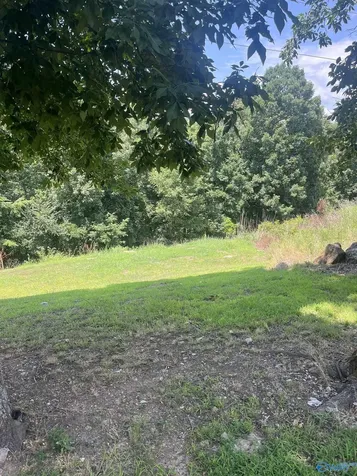 1.12 Acres Savory Drive Scottsboro AL 35769