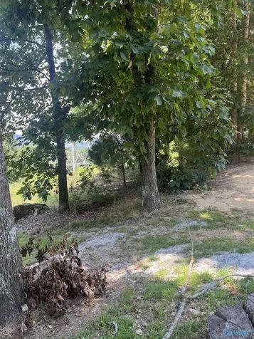 1.12 Acres Savory Drive Scottsboro AL 35769