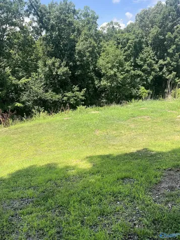 1.12 Acres Savory Drive Scottsboro AL 35769
