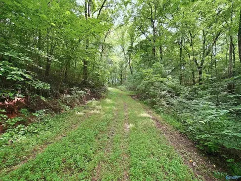 168 Sherfield Road Fayetteville TN 37334