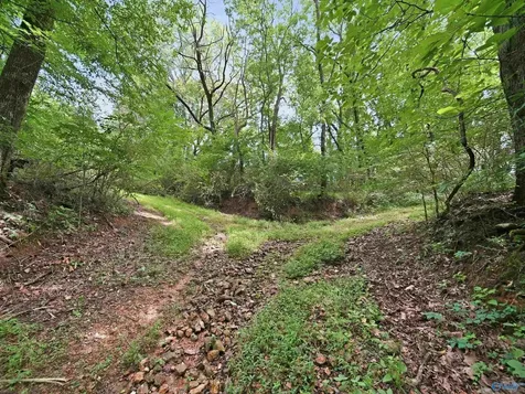 168 Sherfield Road Fayetteville TN 37334