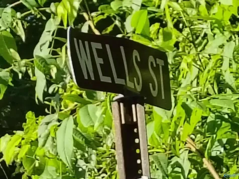 0.59 Acres Wells Street Mentone AL 35984
