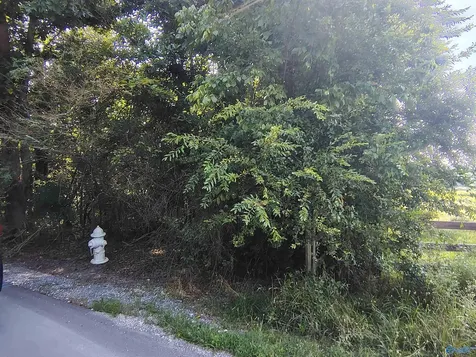 0.59 Acres Wells Street Mentone AL 35984