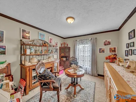 845 County Road 1728 Holly Pond AL 35083