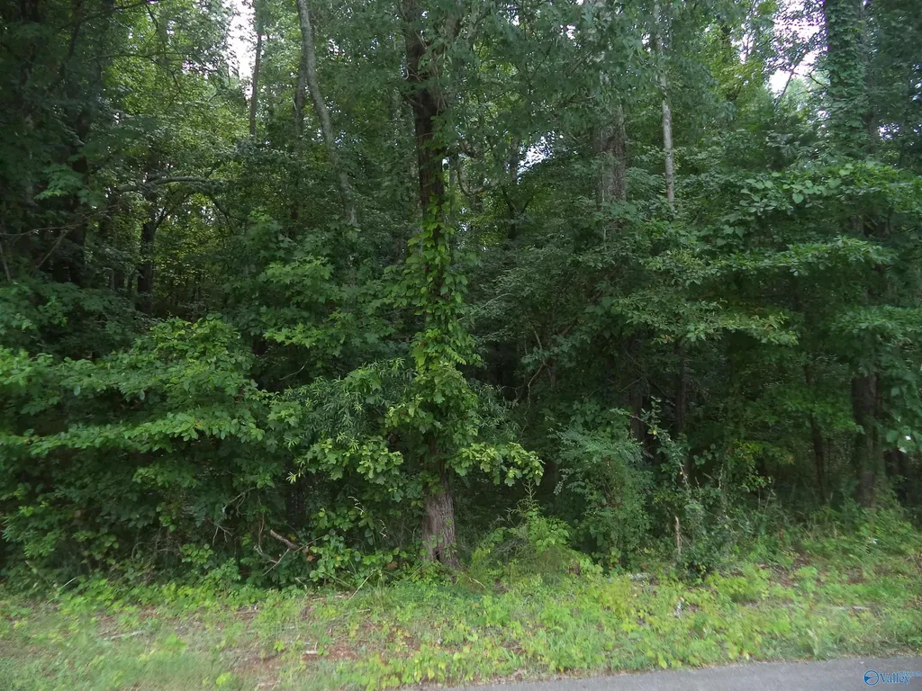 Lot 26 Cottonwood Drive Hazel Green AL 35750