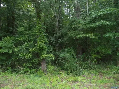 Lot 26 Cottonwood Drive Hazel Green AL 35750