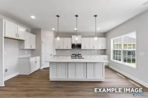 20916 English Ivy Lane Athens AL 35611