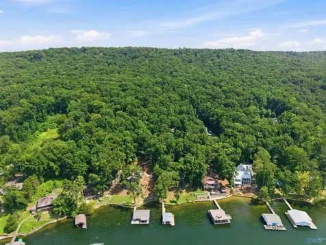 860 Snug Harbor Road Grant AL 35747