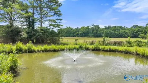 1121 Old Larkinsville Road Scottsboro AL 35768