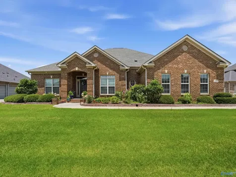 237 Nettles Drive Madison AL 35757
