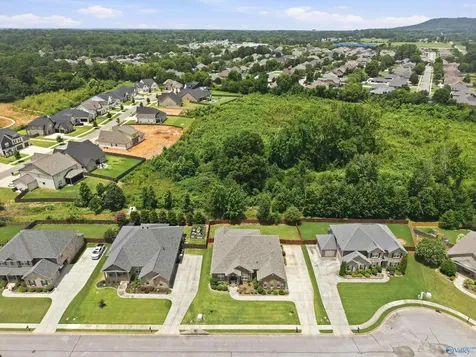 237 Nettles Drive Madison AL 35757