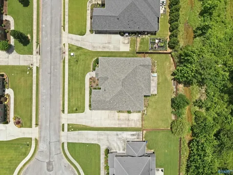 237 Nettles Drive Madison AL 35757