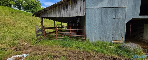 2039 Blackburn Road Cornersville TN 37047