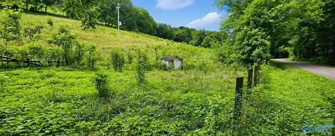 2039 Blackburn Road Cornersville TN 37047
