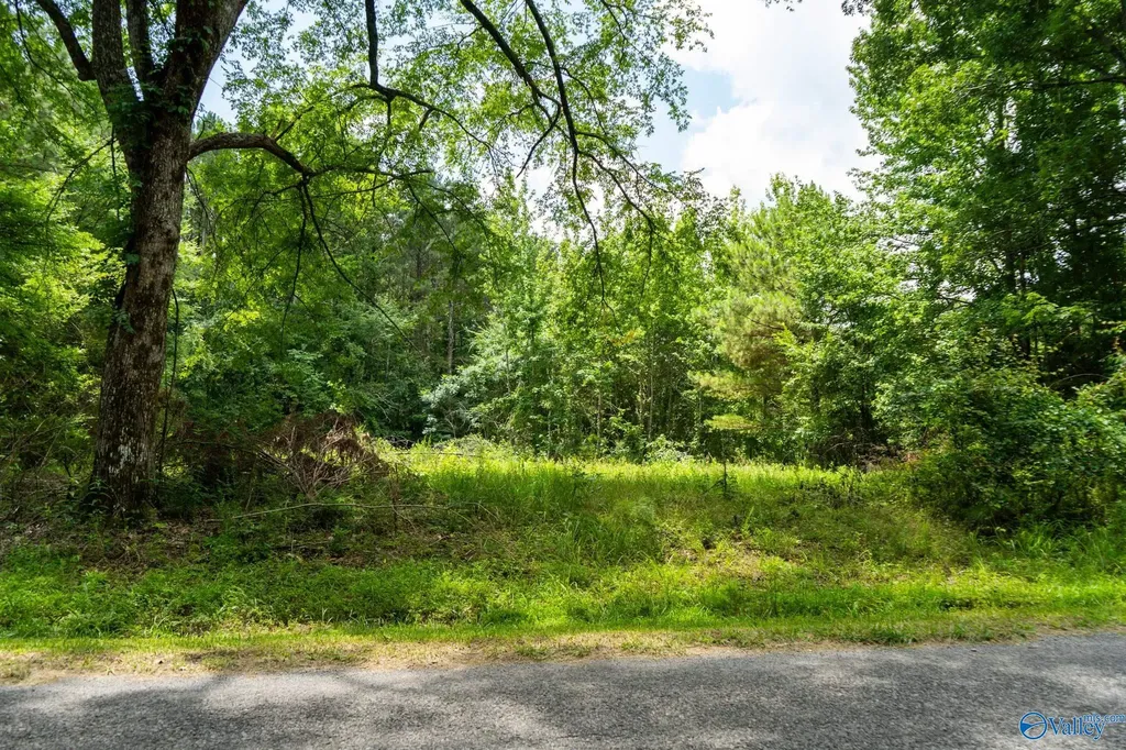 5.37 Acres Mount Carmel Drive Guntersville AL 35976