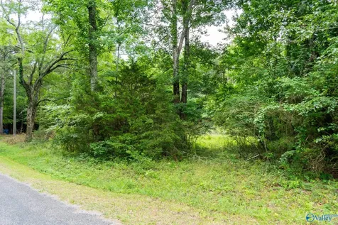 5.37 Acres Mount Carmel Drive Guntersville AL 35976
