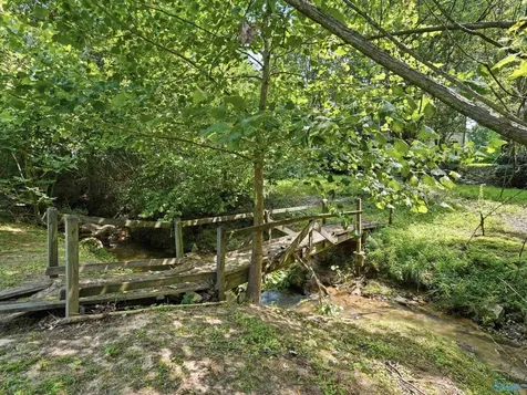 1013 Mill Race Circle Guntersville AL 35976