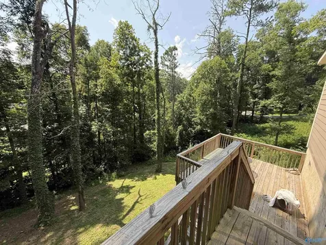 3606 Briarwood Lane Guntersville AL 35976
