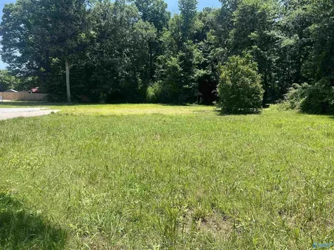 20290 Looney Road Athens AL 35613