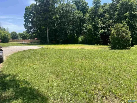 20290 Looney Road Athens AL 35613