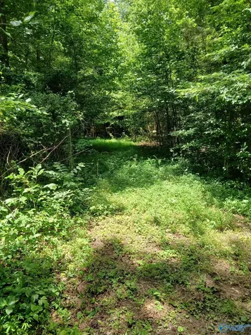 4 Rice Road Grant AL 35747