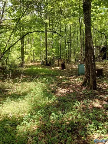4 Rice Road Grant AL 35747