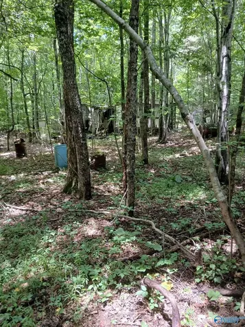 455 Rice Road Grant AL 35747