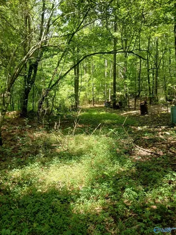 455 Rice Road Grant AL 35747