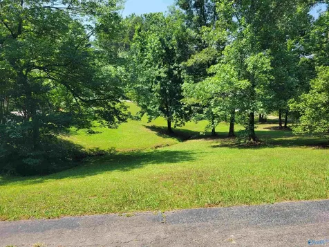 560 County Road 285 Cullman AL 35057