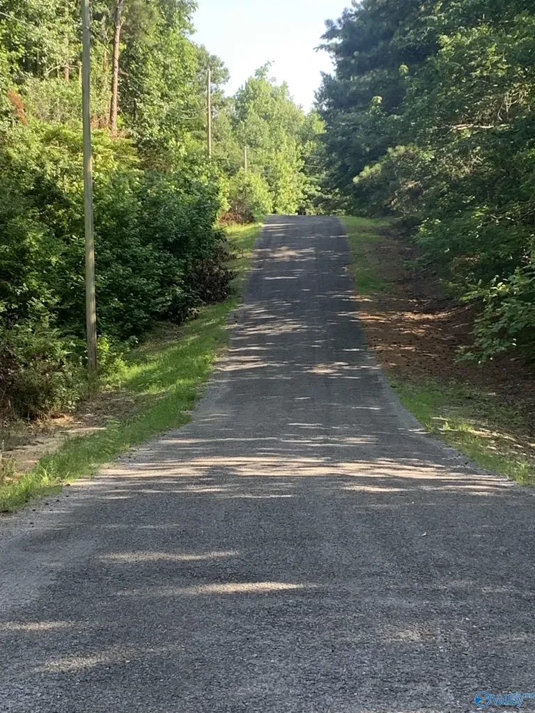 Lots 32 33 Chawnee Circle Scottsboro AL 35768