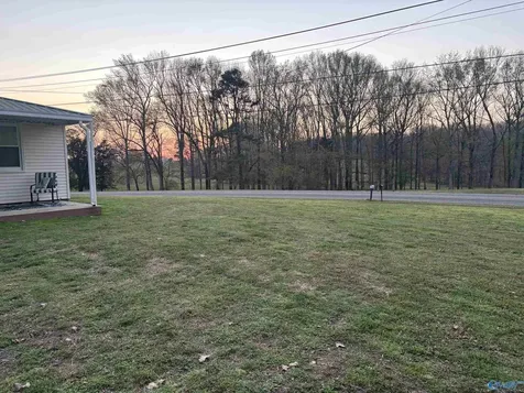 9292 NW Upper Snake Road NW Athens AL 35614