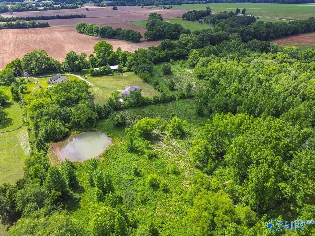 319 B Coulter Drive New Market AL 35761