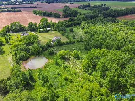 319 B Coulter Drive New Market AL 35761