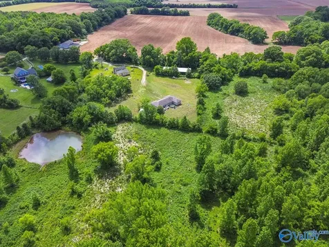 319 B Coulter Drive New Market AL 35761