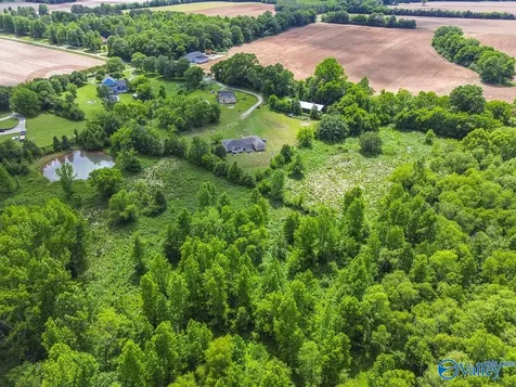 319 B Coulter Drive New Market AL 35761
