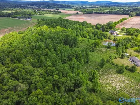 319 B Coulter Drive New Market AL 35761