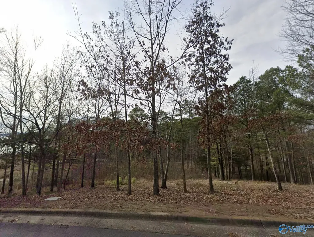 Lot 35 Harbor Ridge Road Guntersville AL 35976