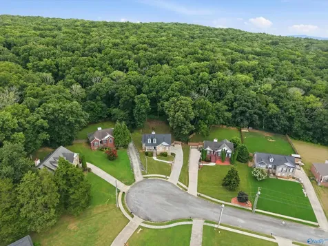 118 Burwell Cove Drive Harvest AL 35749