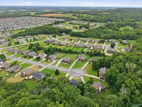 118 Burwell Cove Drive Harvest AL 35749